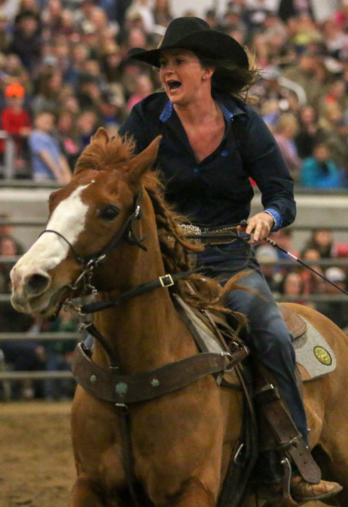 BullBash-2.JPG